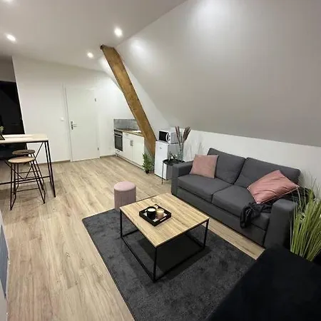 Beau Cosy Proche Frontiere Suisse *