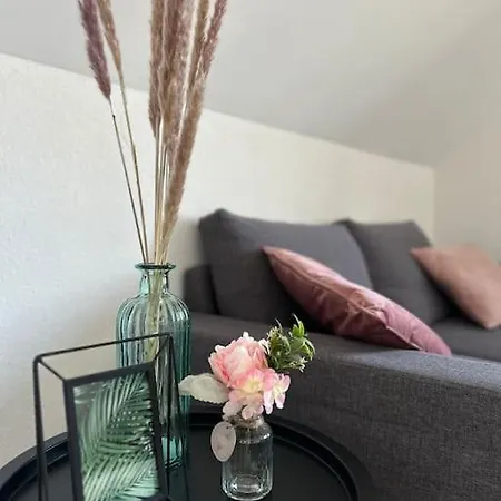 Beau Cosy Proche Frontiere Suisse Villers-le-Lac