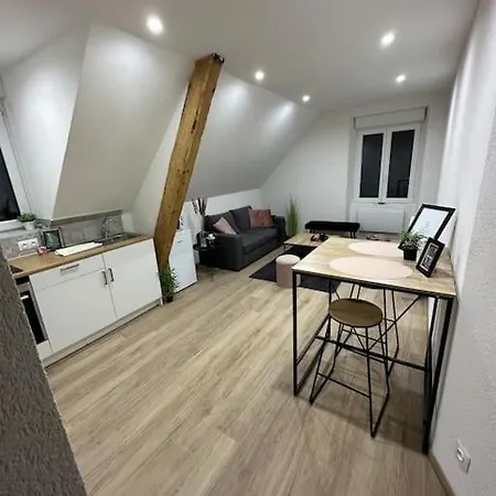 Beau Cosy Proche Frontiere Suisse Apartment *